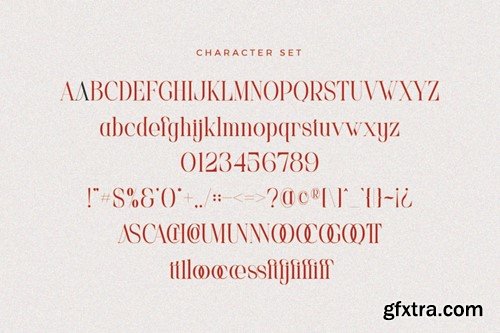 Zaleta Elegant Serif Font WGP2ANR