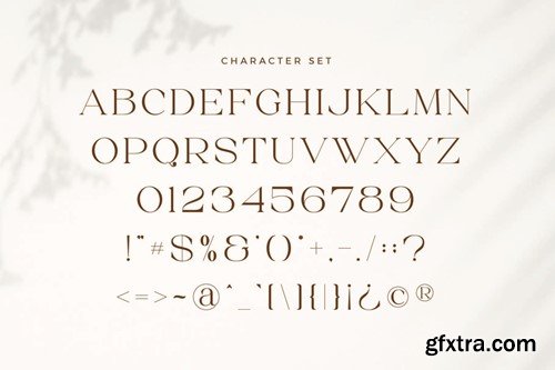 Rossce Beautiful Serif Font NBU72Z8