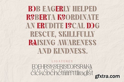 Robodo Serif Font Family BSNCTA3