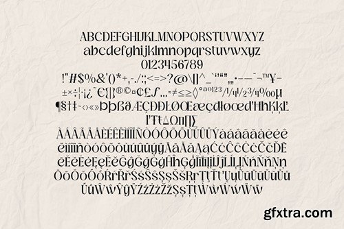 Robodo Serif Font Family BSNCTA3