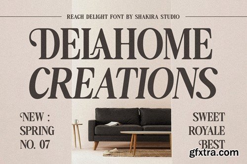 Reach Delight - Modern Retro Serif PDR88FG