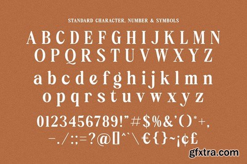 Reach Delight - Modern Retro Serif PDR88FG