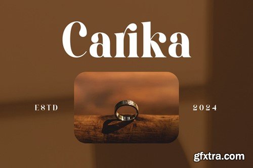 Avieka Bold Serif Font 5YWMHU6