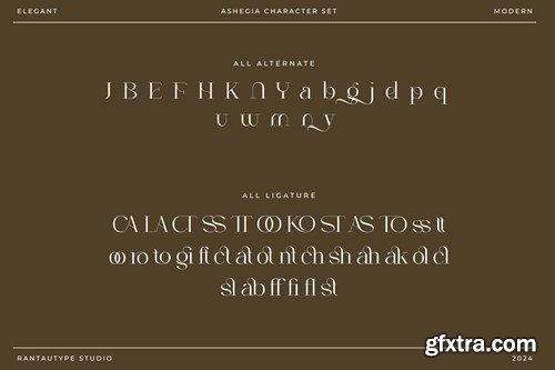 Ashegia Modern Serif Font Z9MMEDT