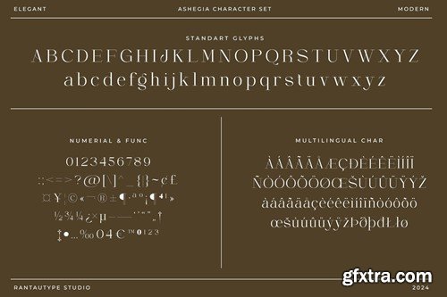 Ashegia Modern Serif Font Z9MMEDT