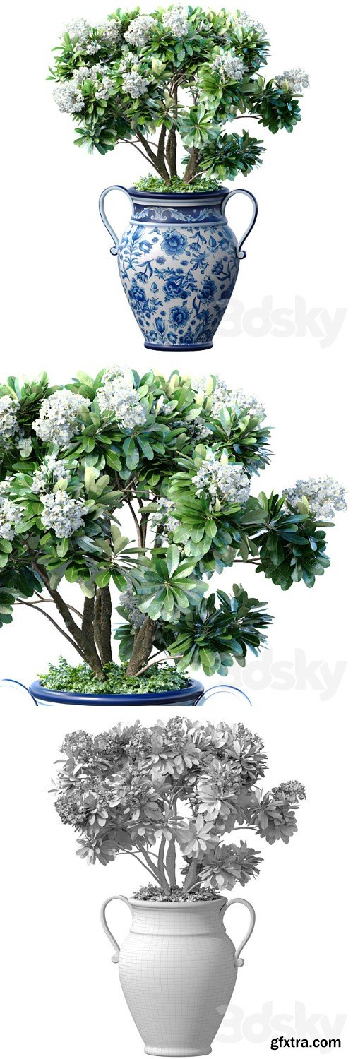 Decorative Blooming Garden Tree with White