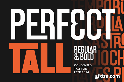 Perfect Tall - Condensed Font with Ligature ADCZC5F