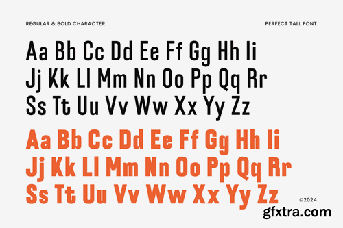 Perfect Tall - Condensed Font with Ligature ADCZC5F