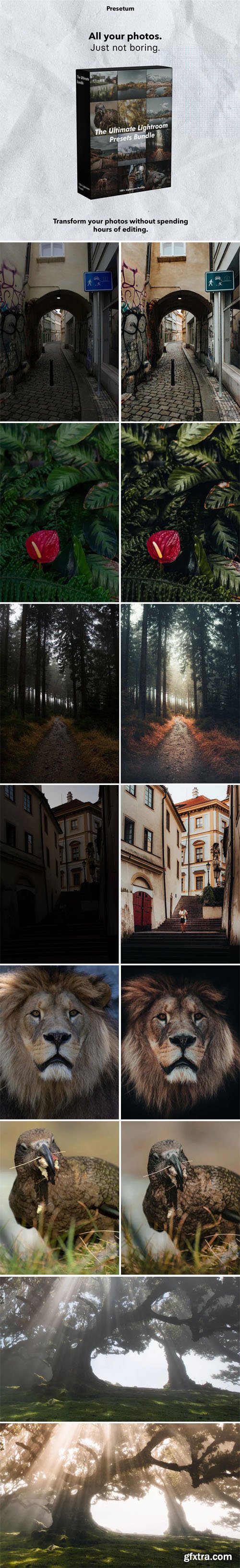 The Ultimate Bundle - Mobile Lightroom Presets