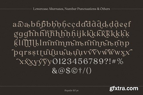 Reigo Font Family 2M3L64G