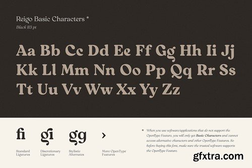 Reigo Font Family 2M3L64G