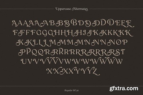 Reigo Font Family 2M3L64G