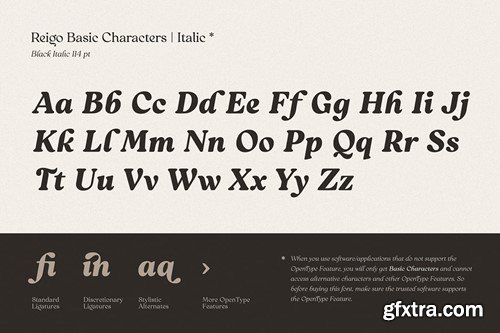 Reigo Font Family 2M3L64G