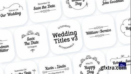 Videohive Wedding Title 55498632