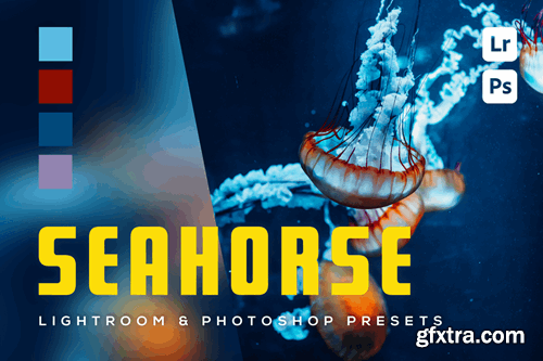 6 Seahorse Lightroom and Photoshop Presets MV5WW5C