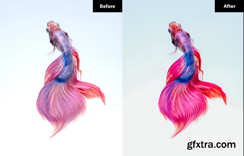 6 Seahorse Lightroom and Photoshop Presets MV5WW5C