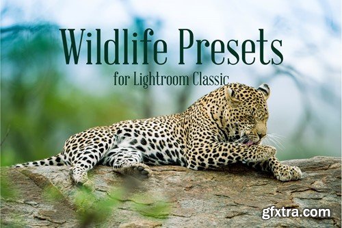 Wildlife Presets for Lightroom Classic ULZ3J96