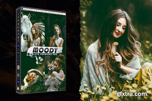 Moody Portrait Lightroom Presets & luts Premiere LBU7CA3