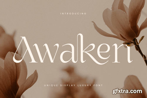 Awaken - Unique Display Luxury Font HUX4JSR