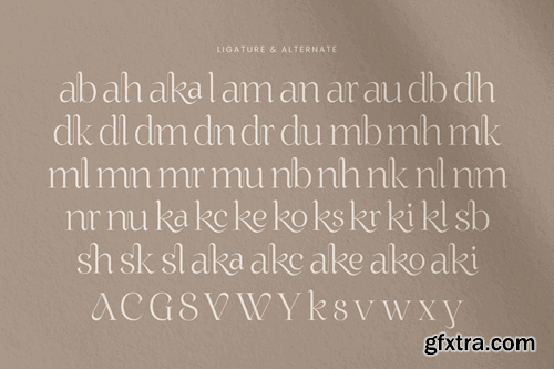 Awaken - Unique Display Luxury Font HUX4JSR