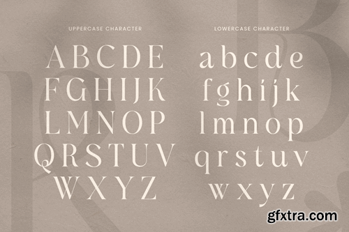 Camelia - Unique Display Serif Font BDQX8NN