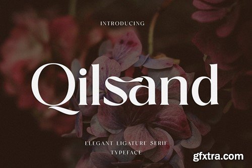 Qilsand Elegant Ligature Serif ANHER52