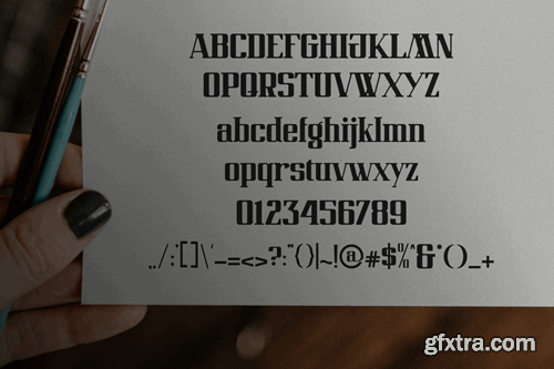 Victory - A Modern Display Serif Font CTDVSZU