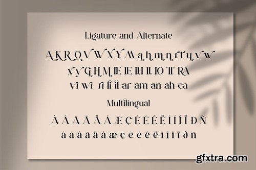 Qianta || Ligature Serif Font JJ3PJYK