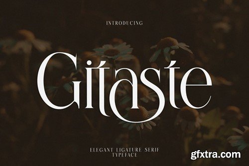 Gitaste Elegant Ligature Serif VQ2FMAM