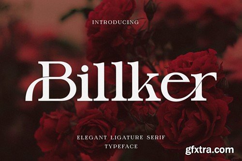 Billker Elegant Ligature Serif ZE32P7X