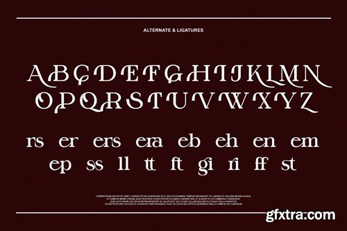 Billker Elegant Ligature Serif ZE32P7X