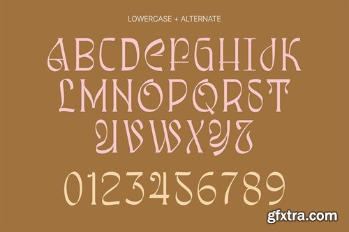 Awsirnam - Aesthetic Serif Font S2V2CL8