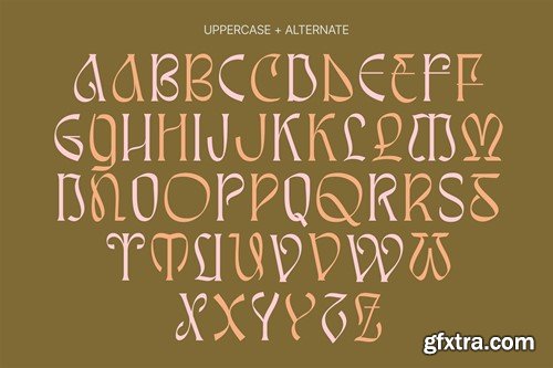 Awsirnam - Aesthetic Serif Font S2V2CL8