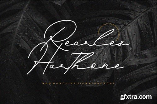 Rearles Harthone || Monoline Script Font NVADSLP