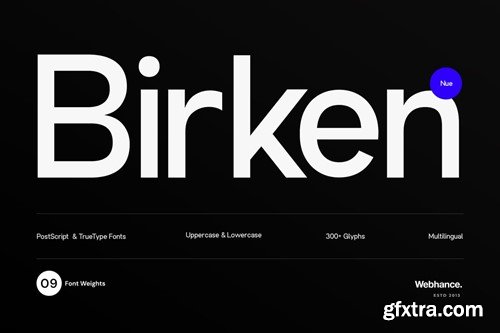 Birken Nue - A Minimal Sans-Serif Font Family FZ2HUBR