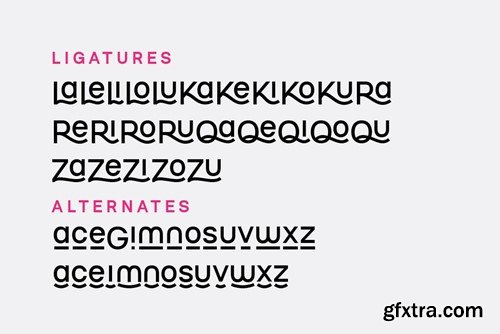 Hybriduo- Mixable Font Duo 73R3MZ9