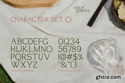 Viola Essence Creative Serif Font 34BKWYG