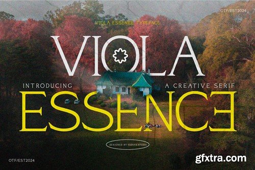 Viola Essence Creative Serif Font 34BKWYG