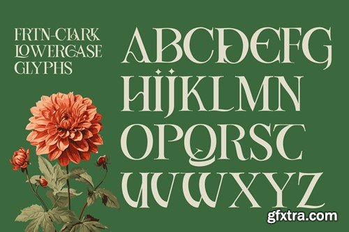 Louise Elegant Serif 29U7ZT6