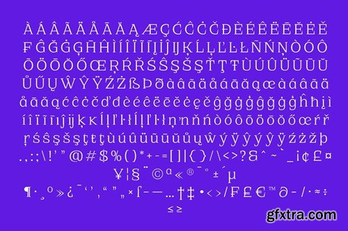 JT Rejiro | Serif Font Family MTY5MYZ