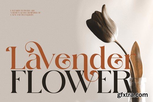 Sintta Elegant Serif Font ZP7FKZC