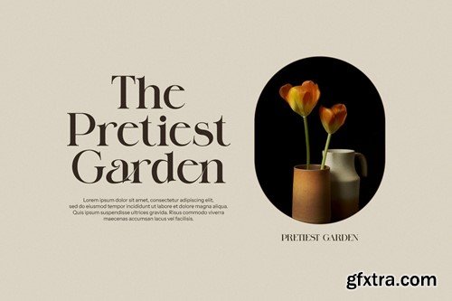 Galgin Elegant Serif Font 8536D4C