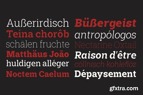 Shemekia - Classic slab serif font 5QNRPQG