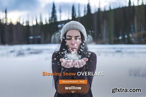 Blowing snow Transparent png photo overlays TWRCX32