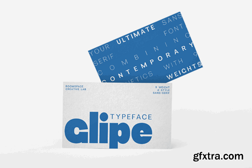 Glipe - Stylish Modern Alternatives Font U8E9J9X