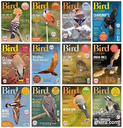 Bird Watching UK - Full Year 2024 Collection