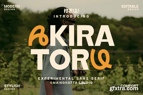 Akira Toru - Sans Serif Display Font JKGZSSH