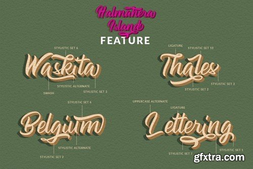 Halmahera Island - Layered Brush Script Font XYB44SD