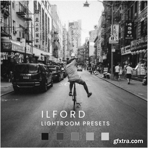 ILFORD HP SIMULATION