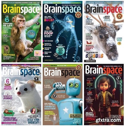 Brainspace - Full Year 2024 Collection